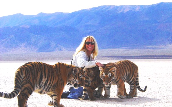 REXANO Should private individuals be allowed to Keep Wild and Exotic Animals  as Pets, tiger, big cat conservation Zuzana Kukol