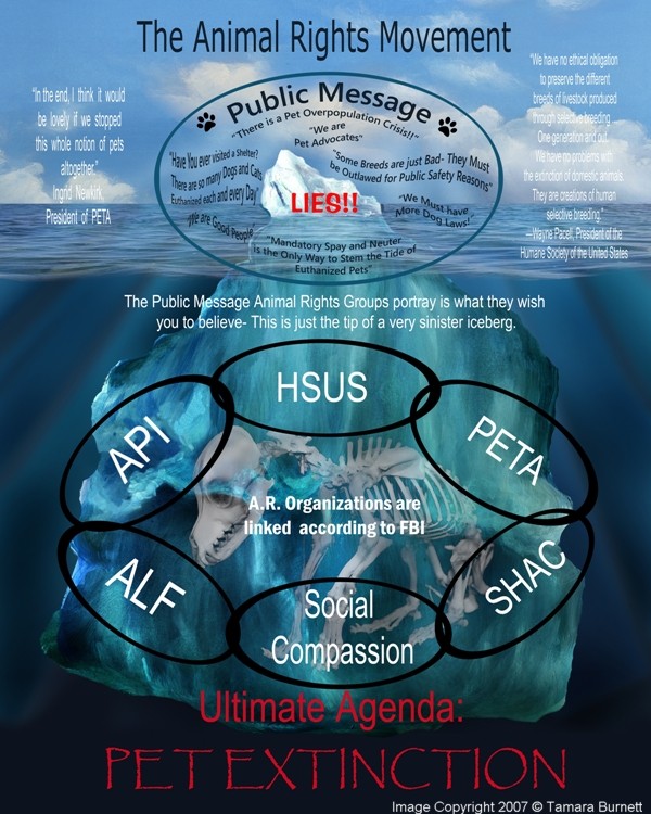 AR Movement Poster